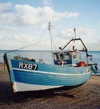 Hastings trammel netter, Certifying coastal fisheries, Hastings (MSC, 2004)