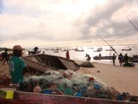 Gill netting, Maputo Bay, IFAD artisanal sector value chains, 2010