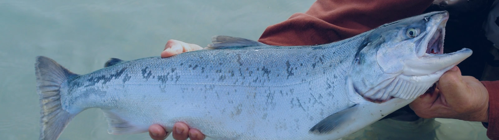 Aquaculture