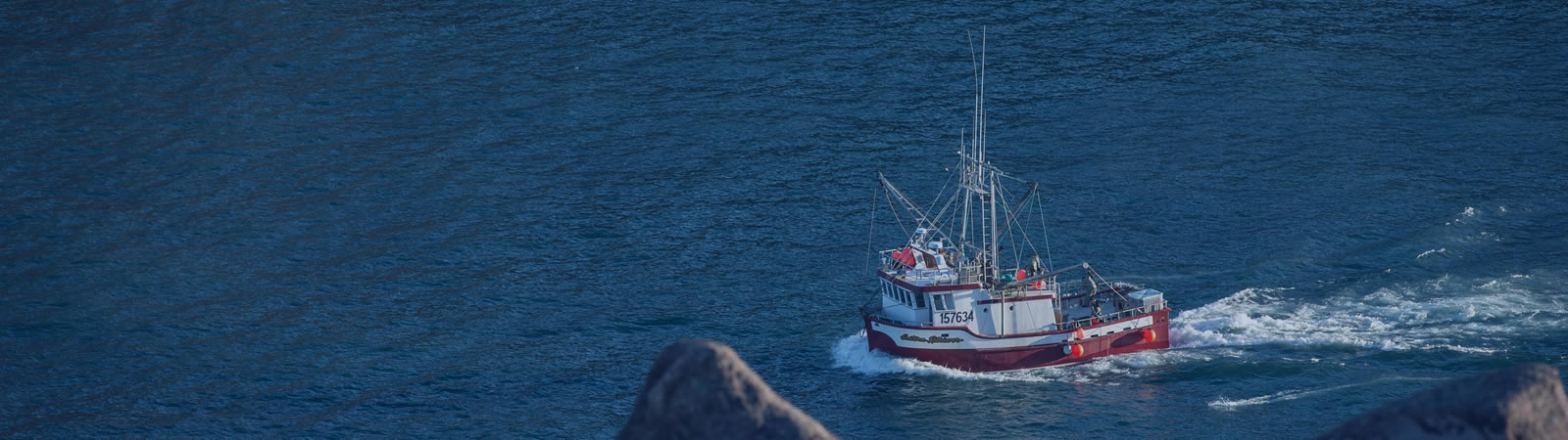 Fisheries policy, strategic planning, legislation and management