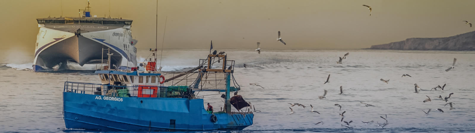 Coastal management and enironmental assessment